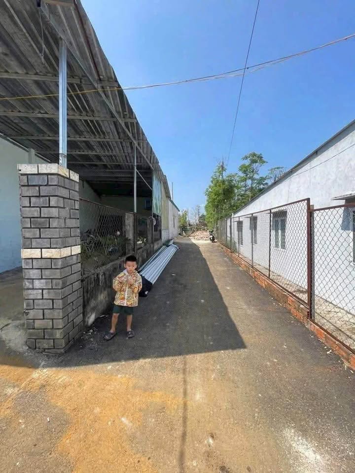 Đất thổ cư 500m² Ngô Đức Kế, B'Lao - Sổ hồng chính chủ, giá chỉ 1.5 tỷ!