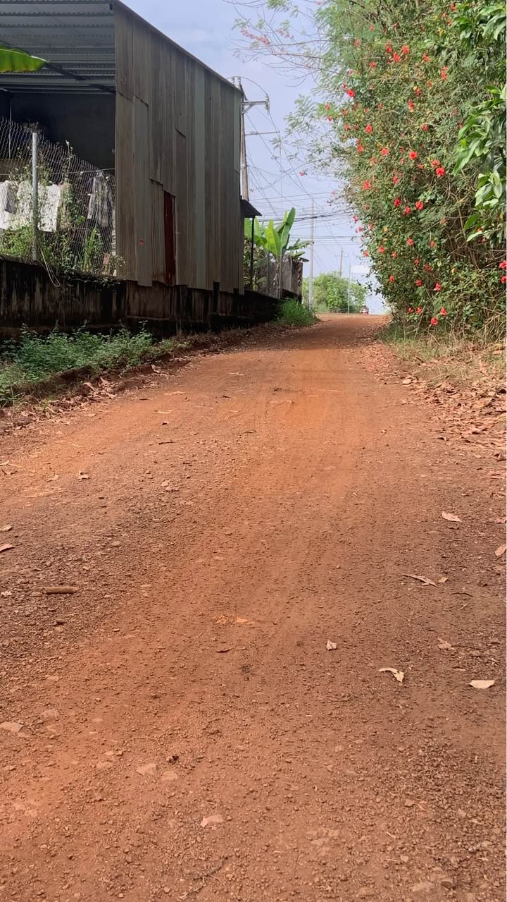 Đất nền 1700m² đường Bưu Điện, xã Gia Kiệm, Đồng Nai - Giá chỉ 1,1 tỷ!