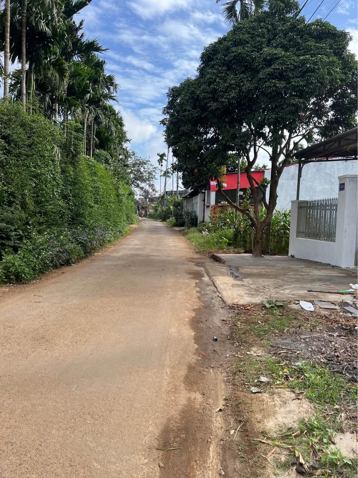 Đất Hòa Thắng Buôn Ma Thuột 270m² giá 3 tỷ - Đầu tư sinh lời ngay!