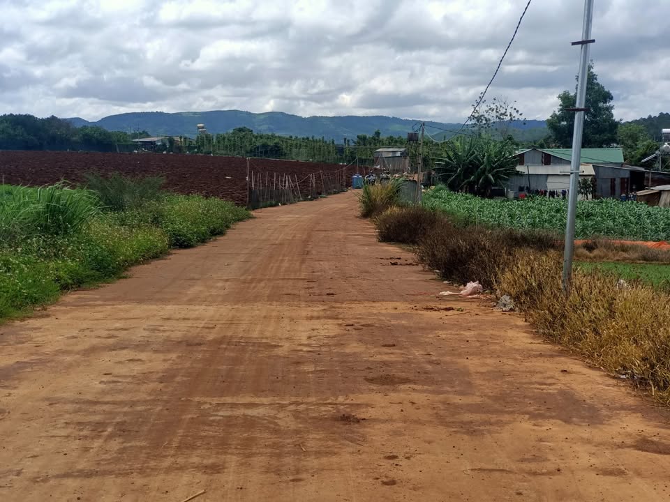 Đất thổ cư Khu dân cư Phú Hội Đức Trọng 280m² giá 1.5 tỷ - Đầu tư sinh lời ngay!