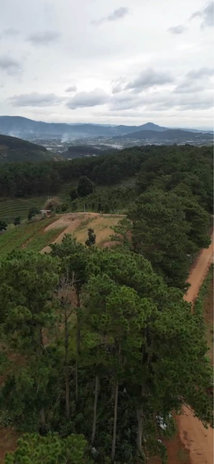 Đất ven Đà Lạt 5000m² giá 4.2 tỷ - Cơ hội đầu tư tuyệt vời!