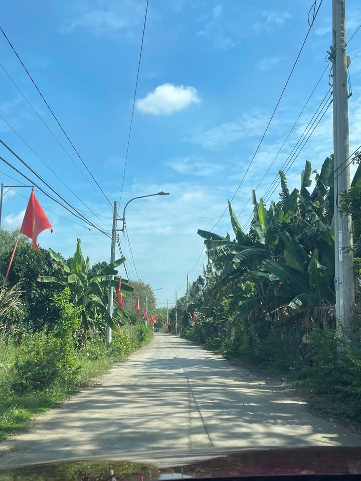 Đất nền Phú Giáo Bình Dương 250m² giá 650 triệu - Đầu tư sinh lời tốt!