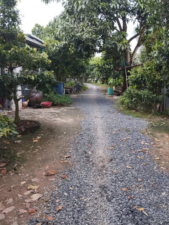 Đất nông nghiệp 13 công tại Xã Phương Thịnh, Đồng Tháp - Giá chỉ 200 tỷ!