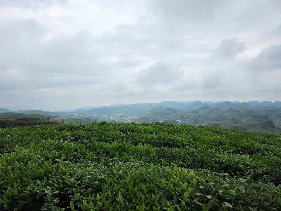 Đất Farm Suối Lìn, Vân Hồ 1ha giá thỏa thuận - Sổ đỏ chính chủ sẵn sàng!