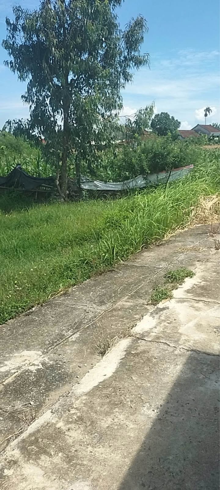 Đất nền Điện Hoà 100m² giá 590 triệu - Đường rộng thông thoáng