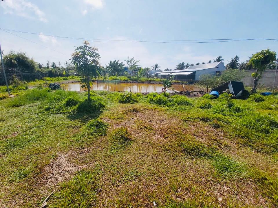 Đất nền 3 mặt tiền Cao Văn Lầu Rạch Giá 10,800m² giá 1.9 tỷ - Cơ hội đầu tư hấp dẫn!