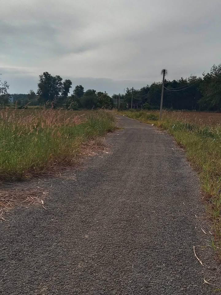 Đất nền Tân Hưng, Đồng Phú, Bình Phước 215m² giá chỉ 300 triệu - Cơ hội đầu tư hấp dẫn!