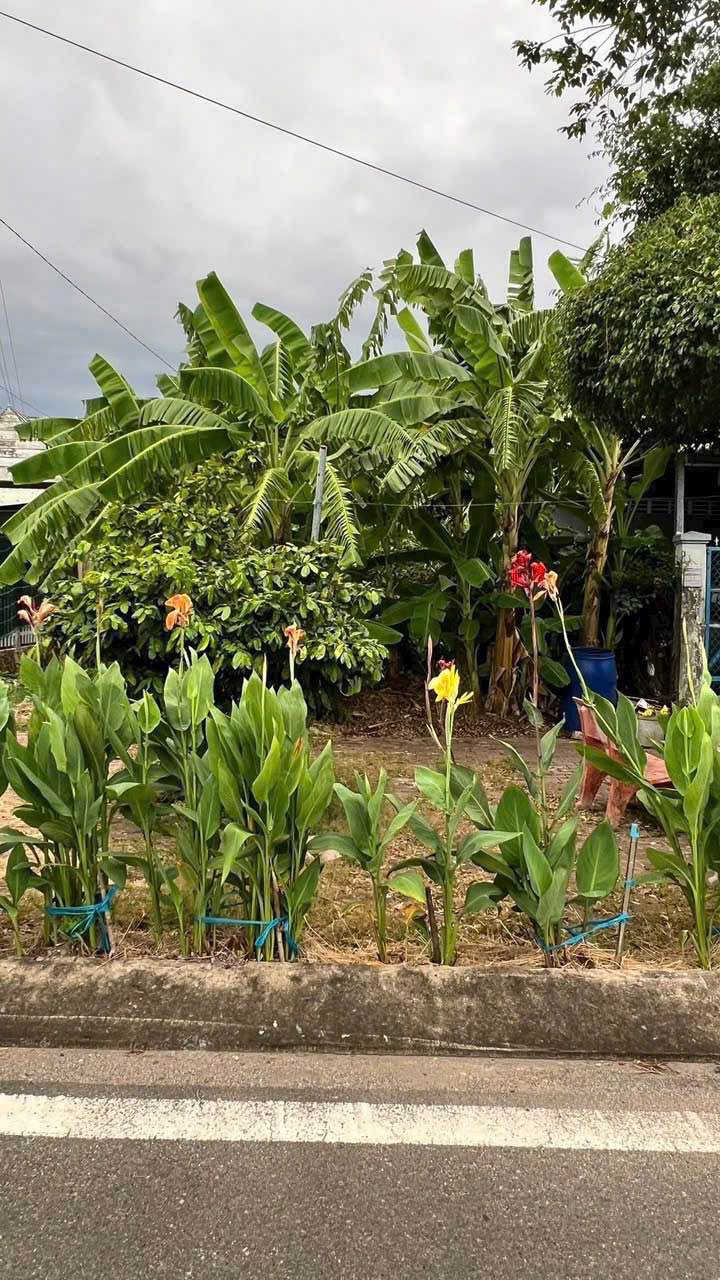 Đất nền khu dân cư Ba Hòn, Kiên Lương 112m² giá 720 triệu - Đầu tư sinh lời ngay!