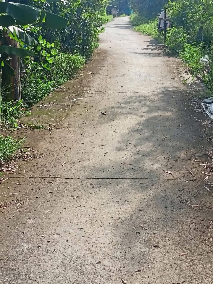 Đất vườn xã Vĩnh Công, Châu Thành, Long An 1440m² giá 1.5 tỷ - Đầu tư sinh lời ngay!