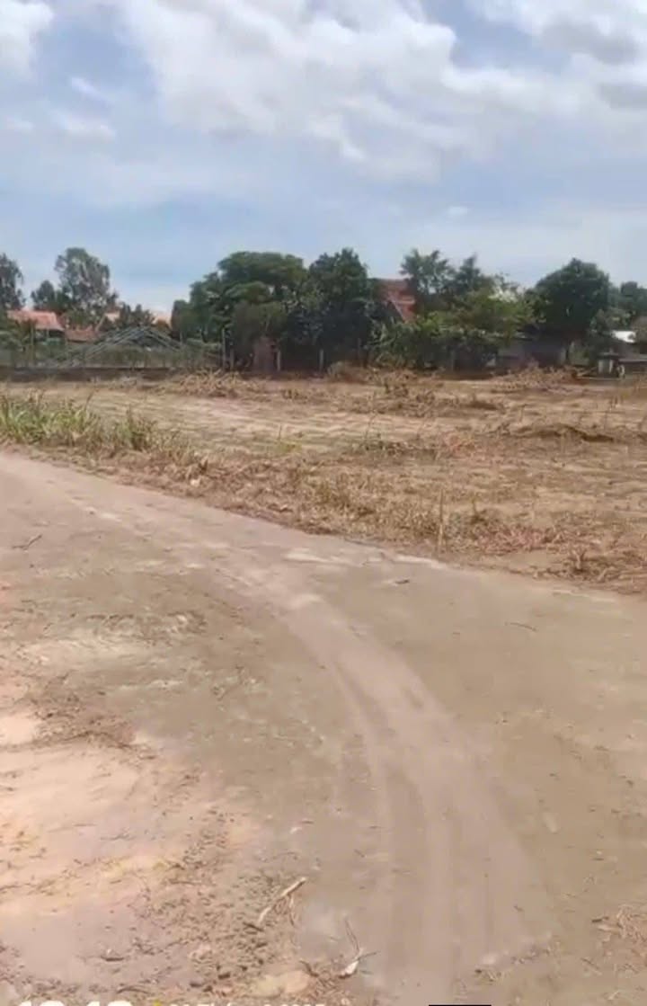 Đất vườn 1200m² Mỏ Cày - Giá chỉ 1.7 tỷ, cơ hội đầu tư hấp dẫn!