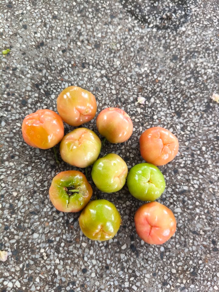 Đất nền xã An Ngãi, huyện Long Điền 170m² giá 2.08 tỷ - Đầu tư sinh lời ngay!