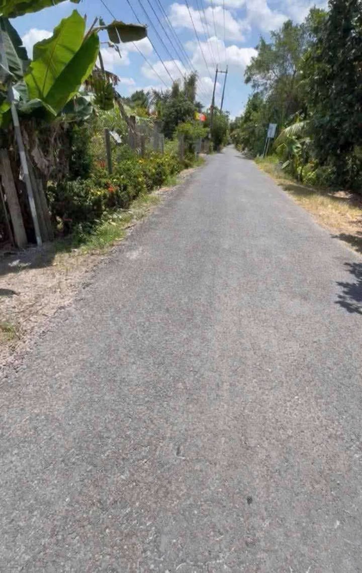 Đất nền mặt tiền 30m xã Mỹ Quí, Đồng Tháp 13.000m² giá 8.118 tỷ - Đầu tư sinh lời