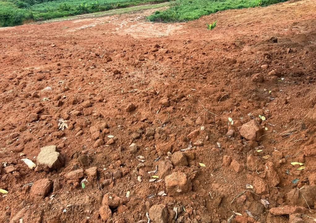 Đất nông lâm kết hợp 800ha tại Ya Tăng, Kon Tum - Pháp lý hoàn thiện sẵn sàng giao dịch!