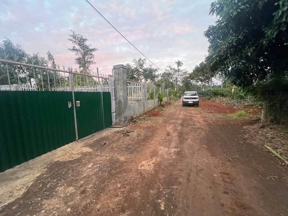 Đất nông nghiệp 1.000m² tại Tân An, Buôn Ma Thuột - Sổ hồng riêng, giá 1.95 tỷ!