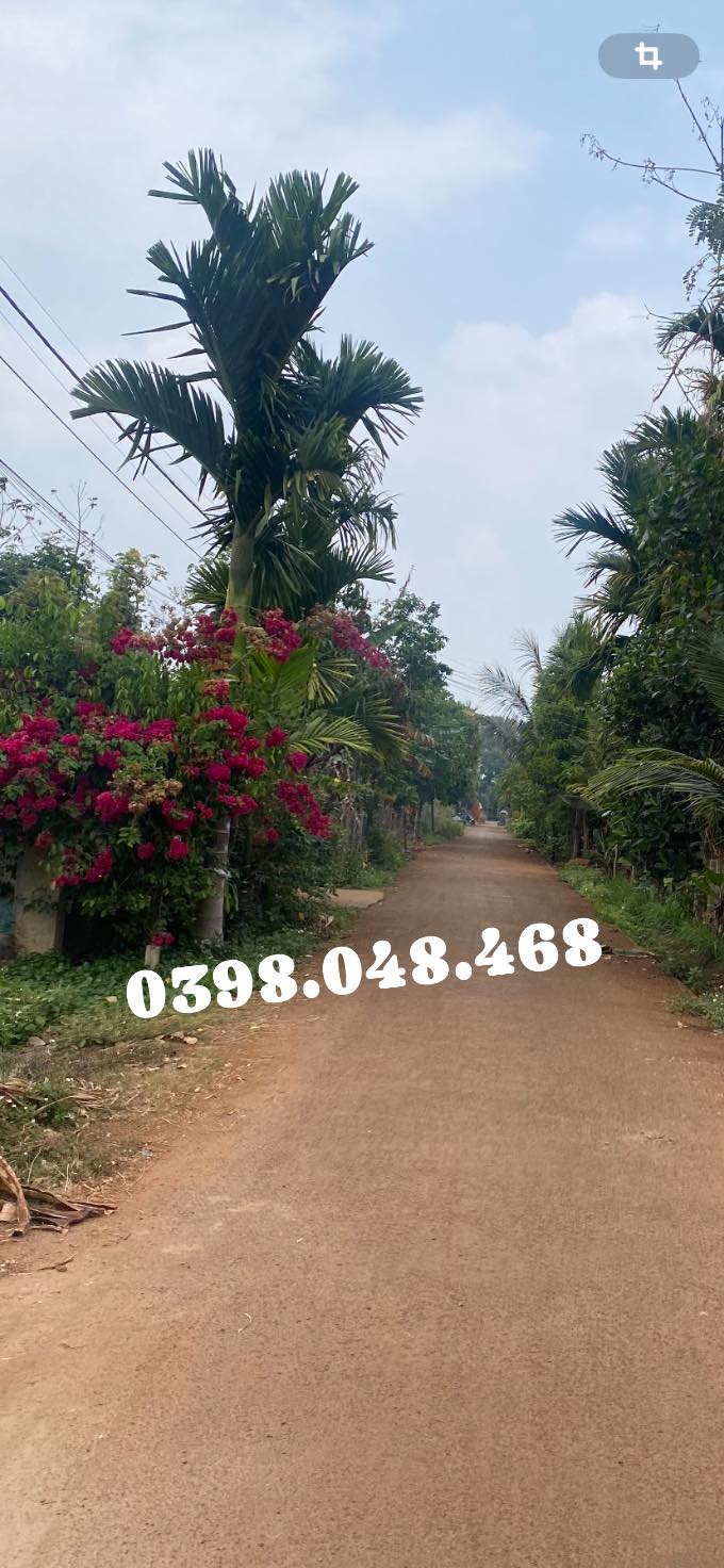 Đất nền Phường Tân Lập Đăk Lăk 150m² giá 1.25 tỷ - Gần sân bay và hồ Ea Chu!