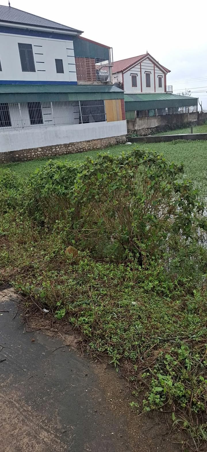 Đất nền Cẩm Sơn, Cẩm Xuyên 200m² giá 1 tỷ - Cơ hội đầu tư tuyệt vời!