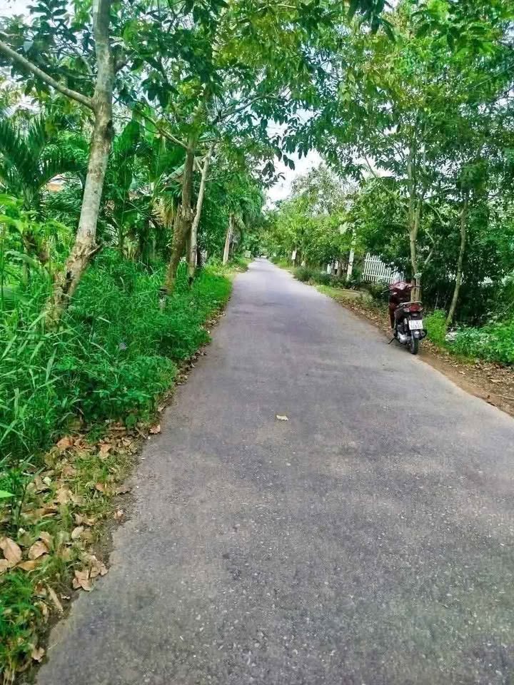 Đất nền tại Mỹ Thạnh, Giồng Trôm 620m² giá 750 triệu - Cơ hội đầu tư tuyệt vời!