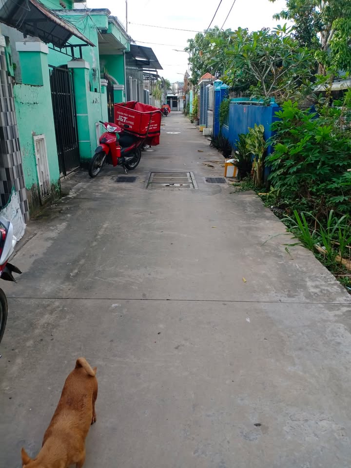 Nhà hẻm đường Trần Quốc Toản, TP Sóc Trăng 50m² giá 800 triệu - Chính chủ bán gấp!