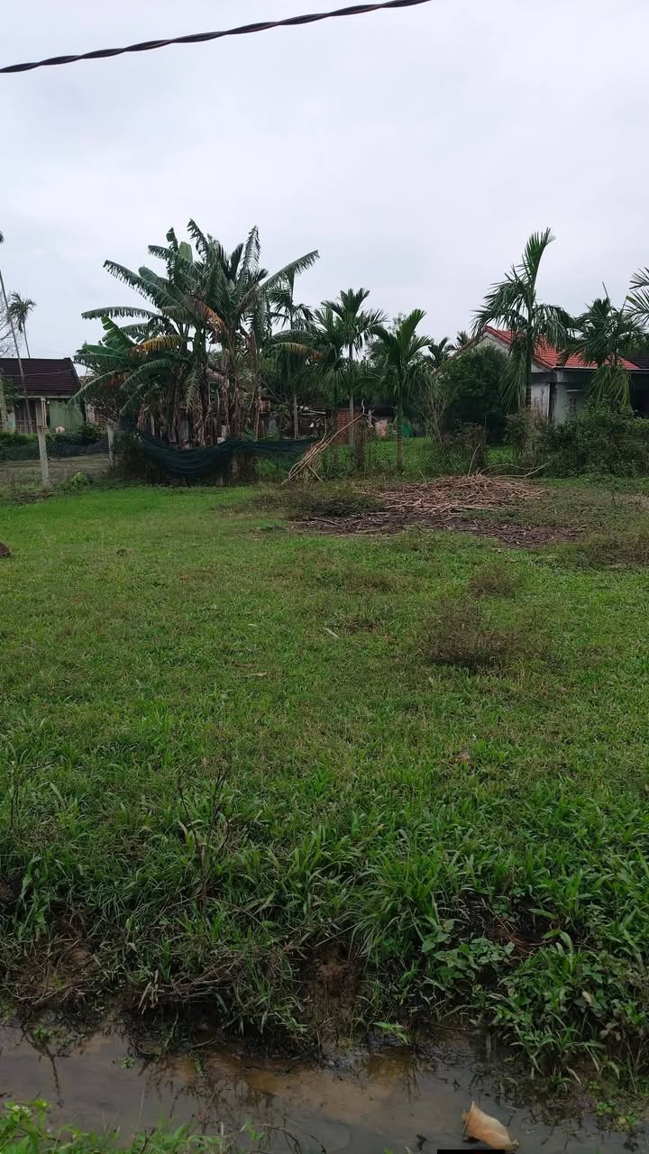 Đất vườn Tam Ngọc, Tam Kỳ 260m² giá 1.05 tỷ - Đầu tư sinh lời tuyệt vời!