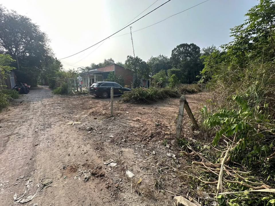 Đất trồng cây lâu năm 371m² An Nhơn Tây Củ Chi giá 1 tỷ - Sổ hồng riêng