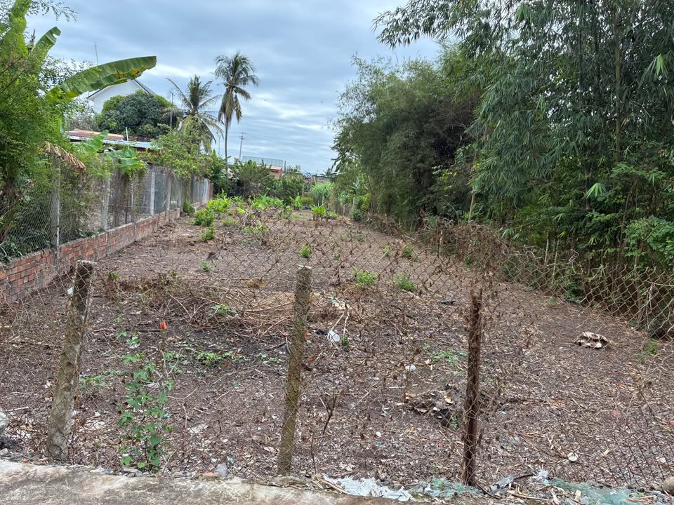 Đất nền Truông Mít 678m² giá 2 tỷ - Vị trí tiềm năng gần xã Bàu Đồn!