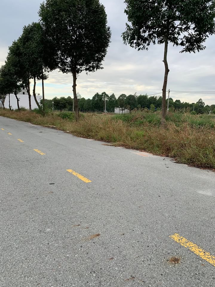 Đất nền TTHC đường D14-5A Bàu Bàng 150m² giá 1 tỷ - Sổ đỏ chính chủ, pháp lý rõ ràng!