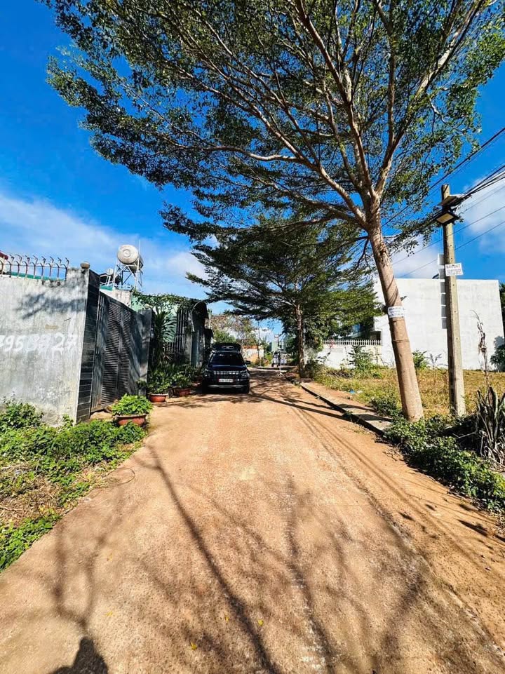 Đất nền Hẻm 92 Nguyễn Xuân Nguyên, Tân An 172m² giá 1.85 tỷ - Cơ hội đầu tư tuyệt vời!