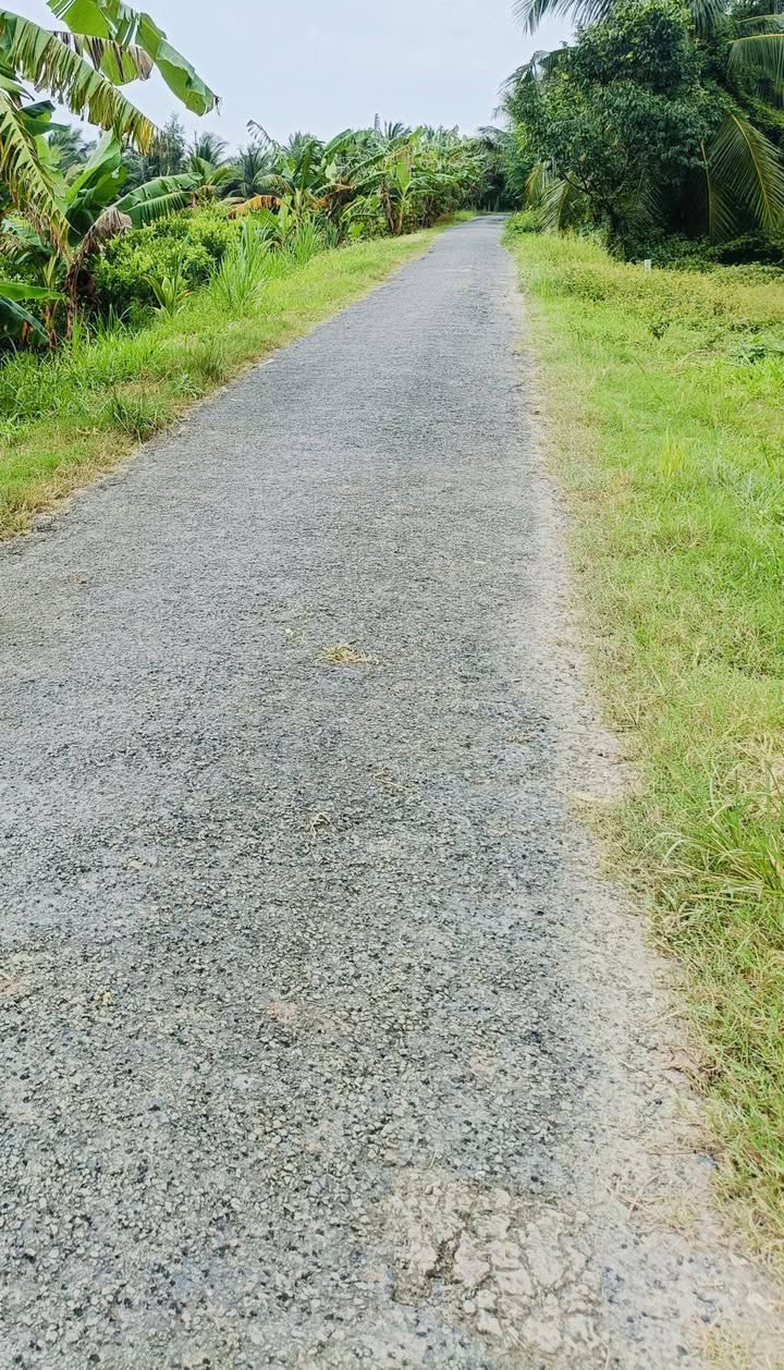 Đất thổ cư Trung Thành, Vũng Liêm 175m² giá 430 triệu - Cơ hội đầu tư tuyệt vời!