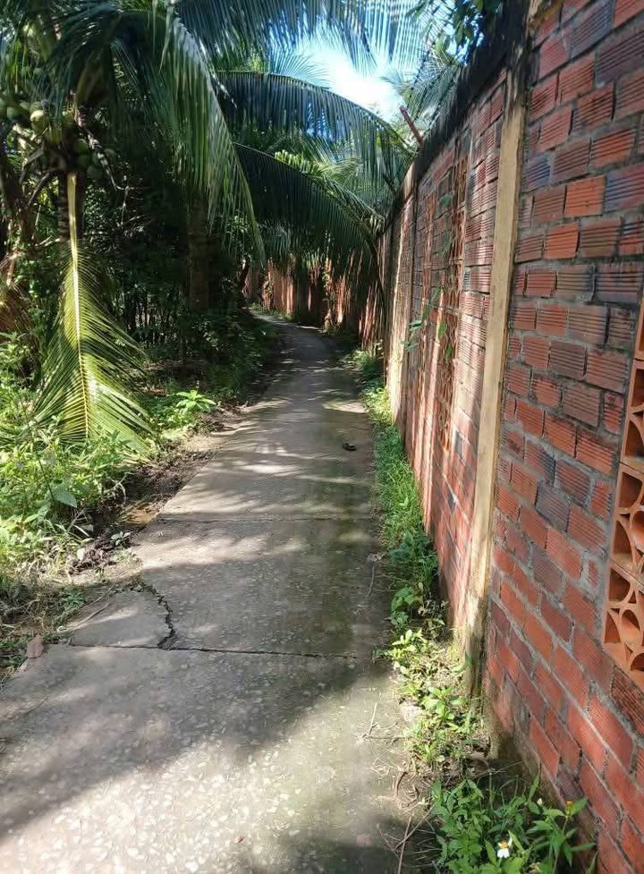 Nhà cấp 4 Mỹ Thạnh Giồng Trôm 118m² giá 550 triệu - Đầy đủ thổ cư!