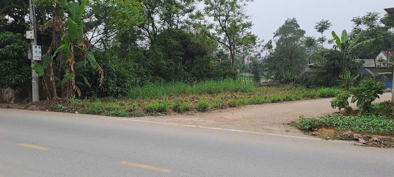 Đất nền tại Xuân Hòa, Lập Thạch 200m² giá chỉ 1.6 tỷ - Kinh doanh thuận lợi!