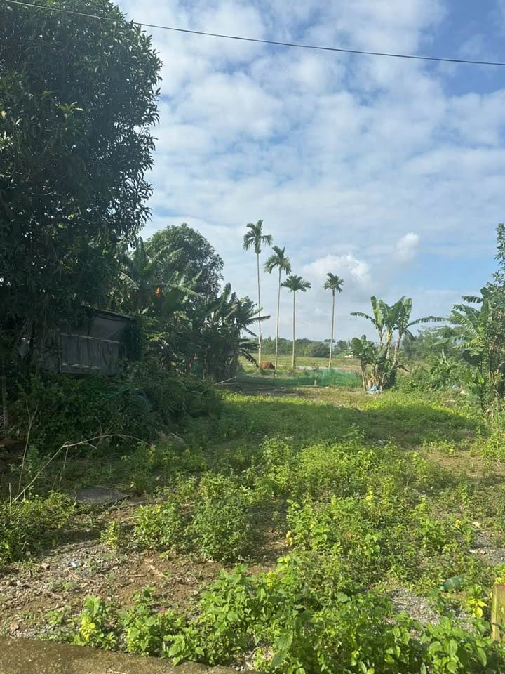 Đất nền Hòa Tiến, Đà Nẵng 123m² giá 1.25 tỷ - Vị trí đắc địa, dân cư đông đúc!