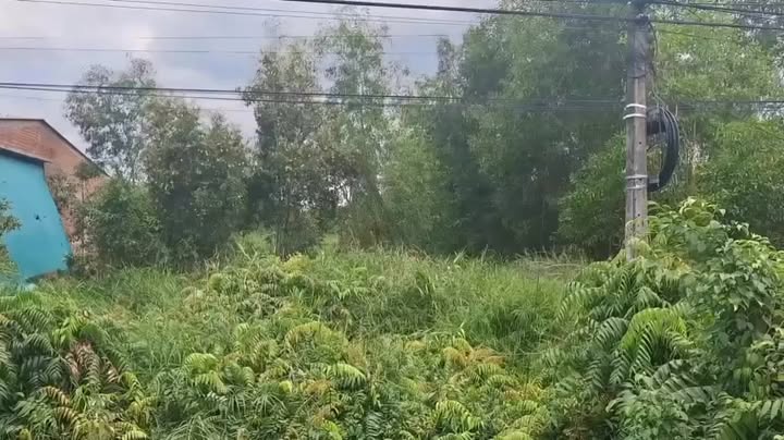 Đất nền 2.000m² mặt tiền TL865, giá 4.2 tỷ - Cơ hội đầu tư sinh lời!