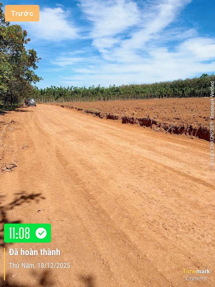 Đất sào Tân Lợi, Đồng Phú 1000m² giá 200 triệu - Đầu tư sinh lời ngay!