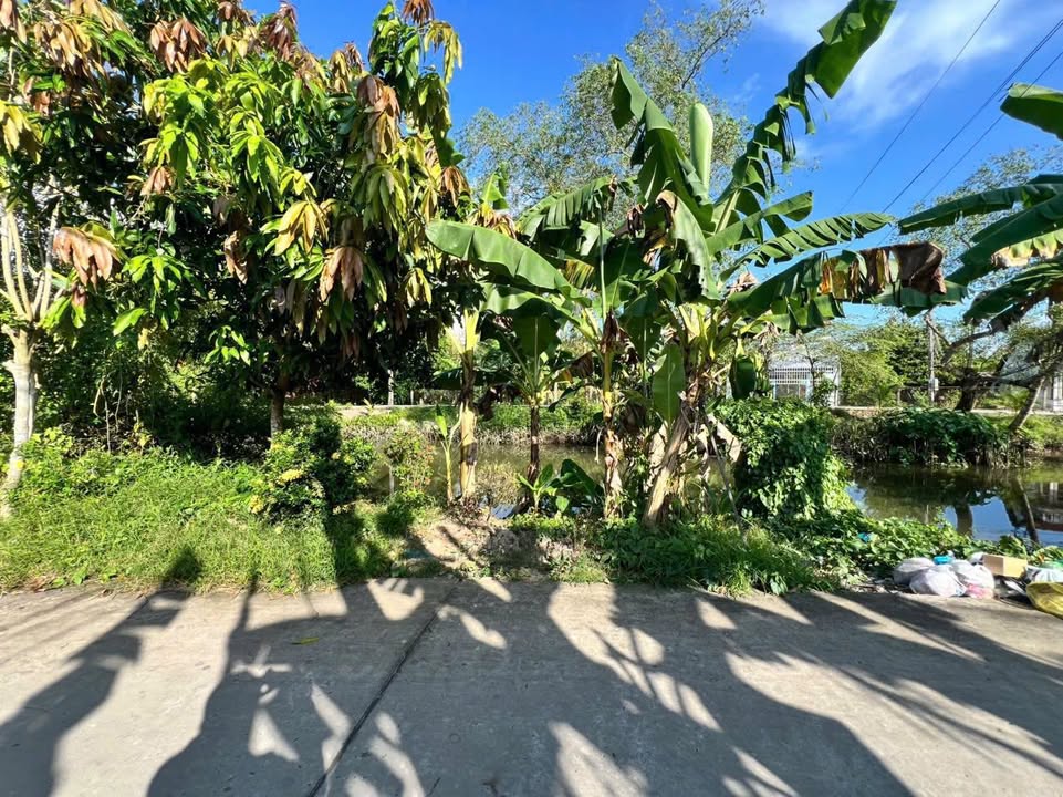 Đất nền thổ cư mặt tiền Rạch Ngã Cái - Long Tuyền 191m² giá 1.89 tỷ - Cơ hội đầu tư sinh lời!