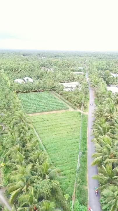 Đất mặt tiền đường Lê Thị Lệ Chi, xã Bình Ninh, 696m² - Giá chỉ 730 triệu, thương lượng ngay!