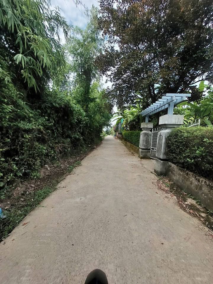 Đất liền kề Mậu Tài Huế 117,5m² giá 900 triệu - Sổ hồng chính chủ