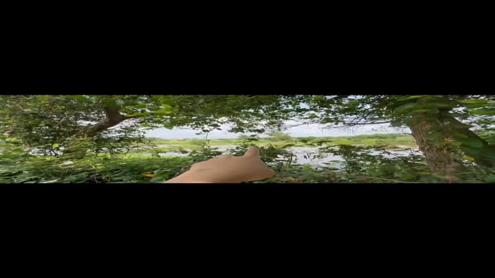 Đất nền Phong Thái, A Lưới 123,5m² giá 300 triệu - Đường ô tô vào tận nơi!