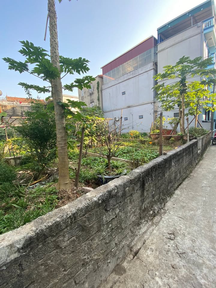 Đất nền Ngọc Hồi 65m² giá 3.619 tỷ - Cơ hội đầu tư hiếm có!