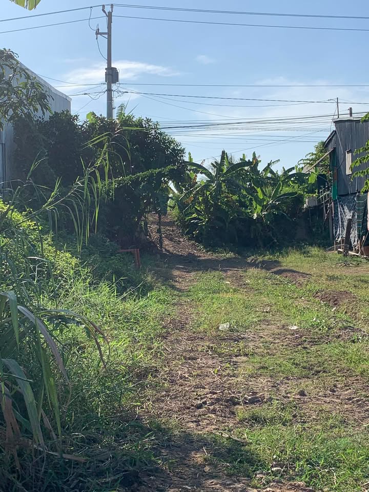 Đất mặt tiền đường DT841, xã Thường Phước 2, huyện Hồng Ngự 175m² giá 650 triệu - Cơ hội đầu tư hiếm có!