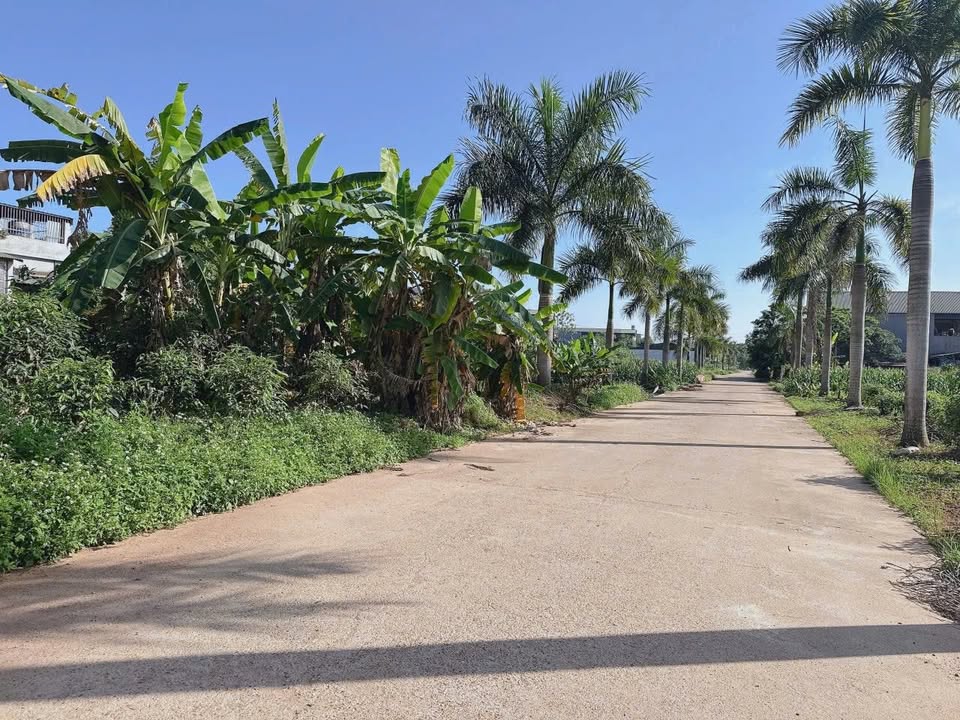 Đất thổ cư 79m² tại Lâm Thao - Mặt tiền đẹp, giá chỉ 700 triệu!