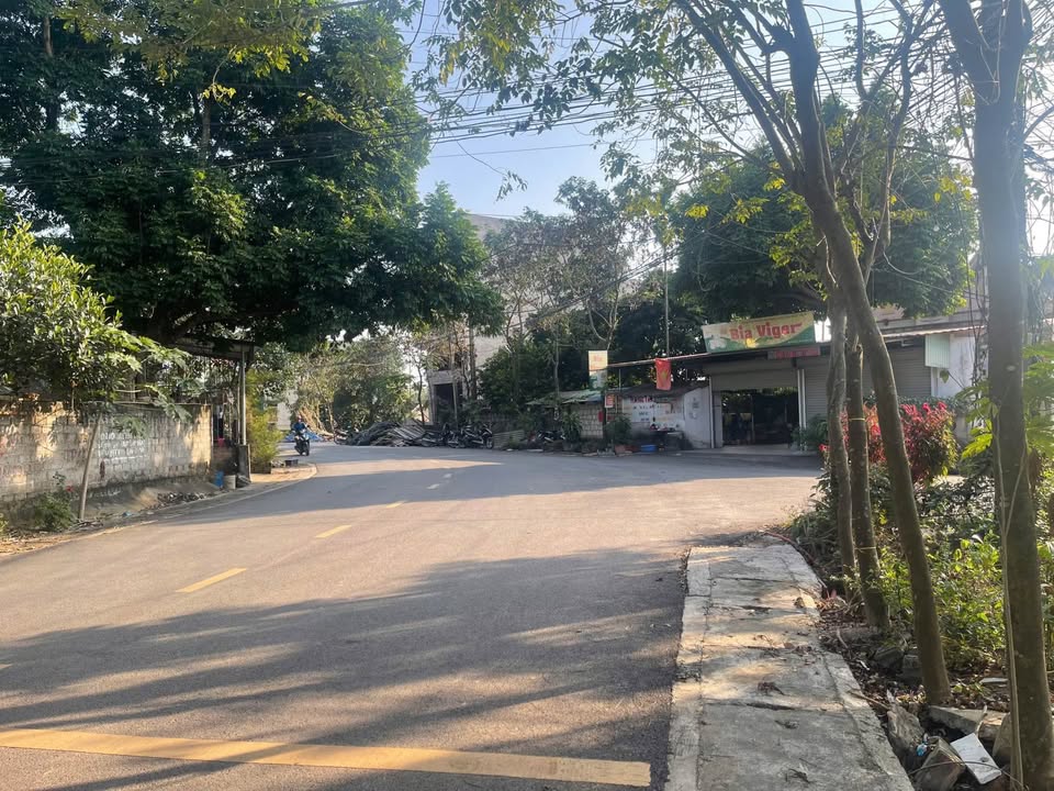 Đất mặt tiền Khu Rừng Tre, Hy Cương, 90m² giá 2 tỷ - Đầu tư sinh lời ngay!