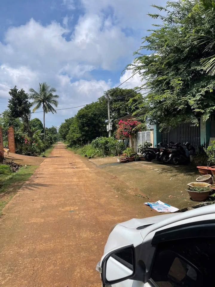 Lô đất mặt tiền đường A4, xã Cư Êbur, 310m² giá 1.65 tỷ - Cơ hội đầu tư tuyệt vời!