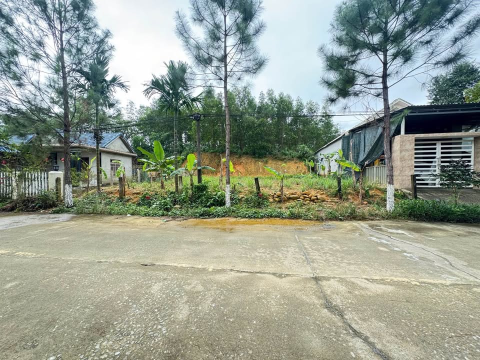 Đất Biệt Thự Trục Đường 13m Lăng Gia Long - 307.8m² - Đầu Tư Lợi Nhuận Cao!