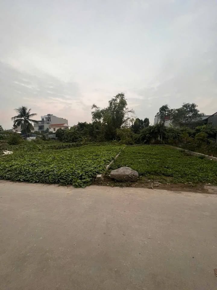 Đất nền An Lão Hải Phòng 61.5m² giá 1.1 tỷ - Đầu tư sinh lời ngay lập tức!