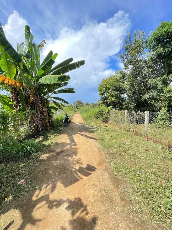 Đất nền mặt tiền đường KB4, Tân An 105m² giá chỉ 1.53 tỷ - Cơ hội đầu tư tuyệt vời!