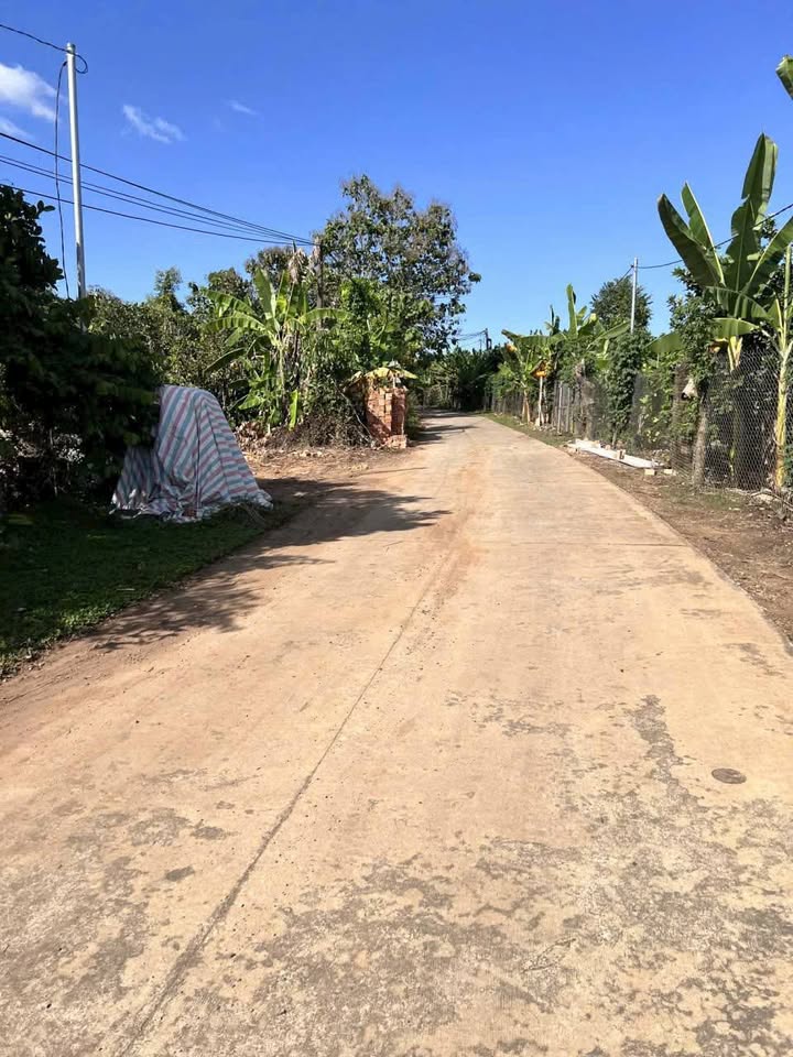 Đất nền Phú Tân Định Quán 160m² giá 298 triệu - Sổ đỏ chính chủ, xả lỗ cuối năm!