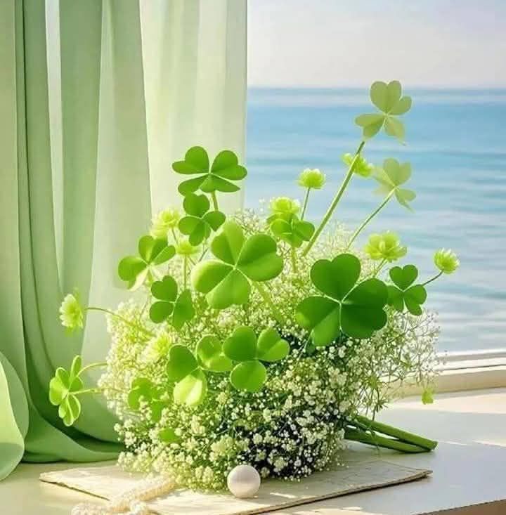 Đất nông nghiệp Ia Pết Đăk Đoa 5000m² giá 1.8 tỷ - Cơ hội đầu tư tuyệt vời!