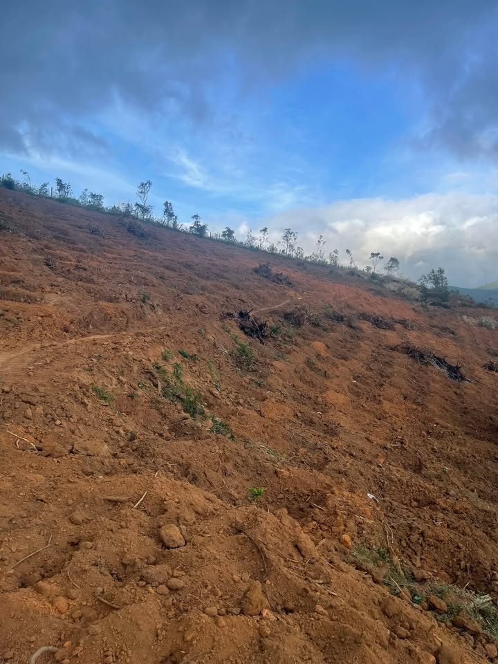 Đất nền 1,5ha tại xã Hra, Mang Yang, Gia Lai - Giá chỉ 900 triệu!