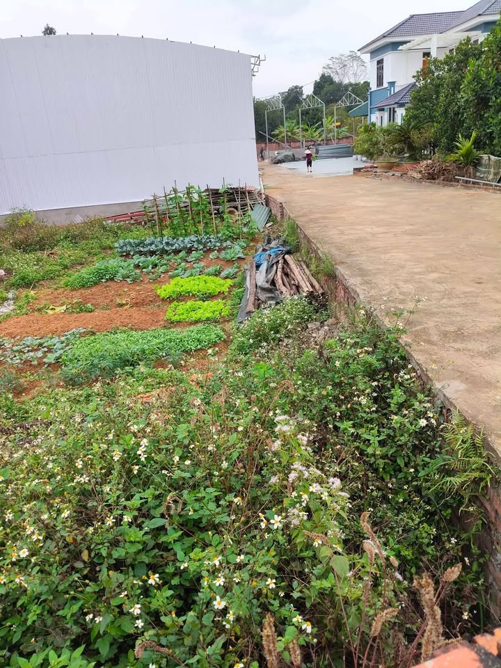 Đất nền lô góc 2 mặt tiền phường Thanh Đình, Việt Trì 108m² giá 900 triệu - Cơ hội đầu tư tuyệt vời!