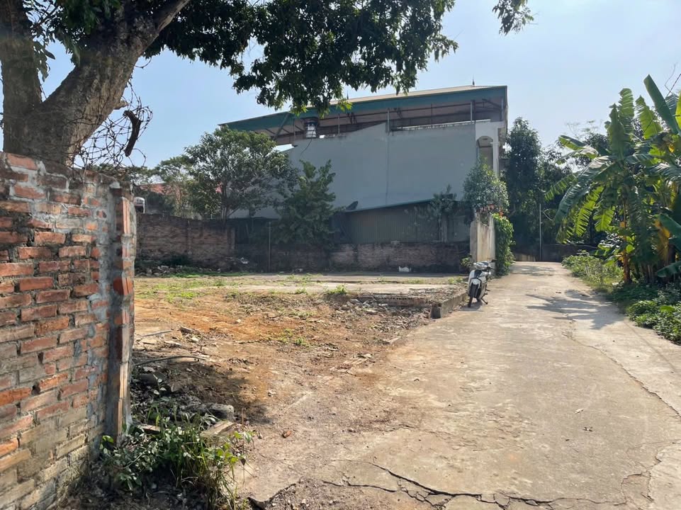 Đất nền Khu 6 Vân Phú 295m² giá thỏa thuận - Đường ô tô vào tận nơi!